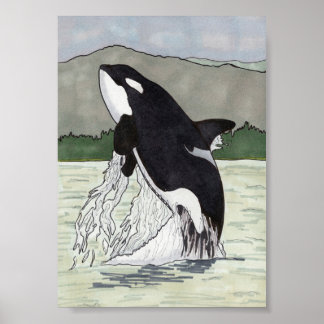 Orca/Killer Whale 12x18 Poster