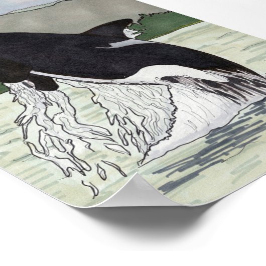 Orca/Killer Whale 12x18 Poster (Ecke)