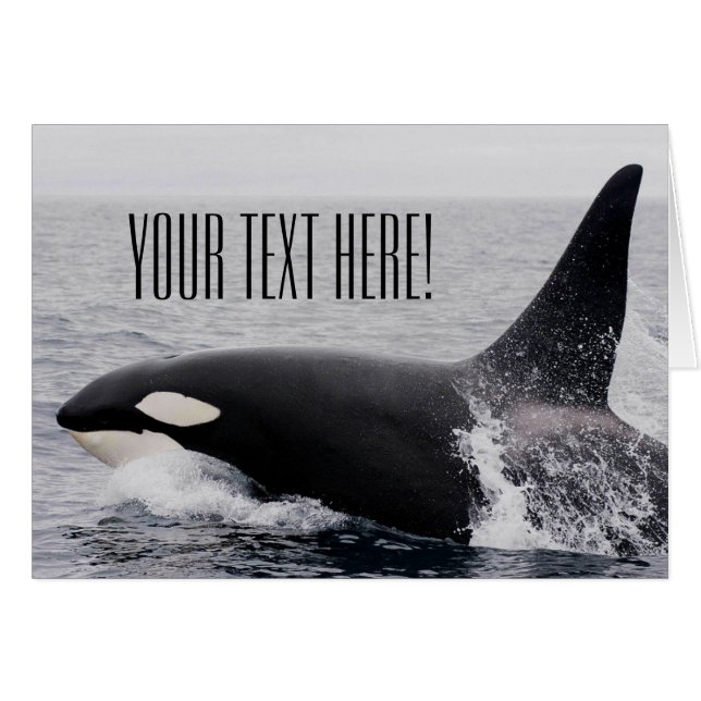 Orca Killer Whale Breaching Surface Custom Text (Vorderseite (Horizontal))