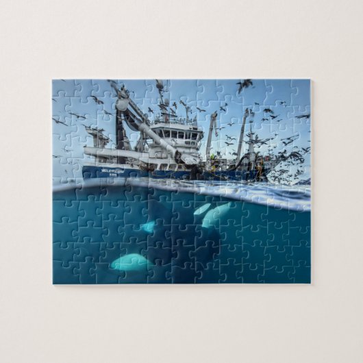 Orca Killer Whale Kommerzielle Fischerboote Puzzle (Horizontal)