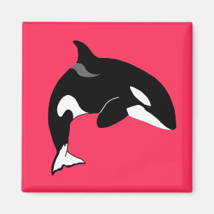 Orca Killer Whale Magnet