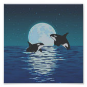 Orca Killer Whale Moonlight Fotodruck (Vorne)