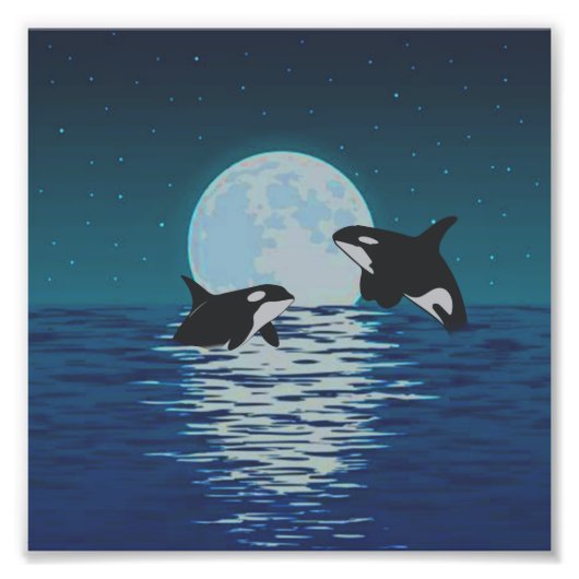 Orca Killer Whale Moonlight Fotodruck (Vorne)