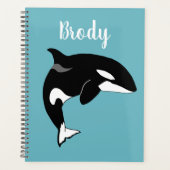 Orca Killer Whale Planer (Vorderseite)