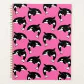 Orca Killer Whale Planer (Vorderseite)