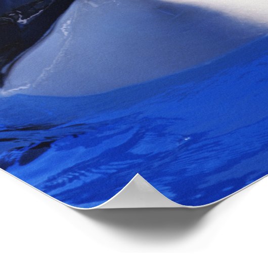 Orca Killer Whale Poster (Ecke)