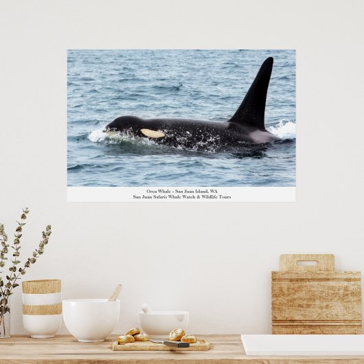Orca Killer Whale Poster San Juan Island Grosse In (Küche)