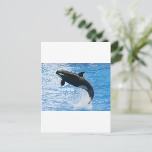 Orca Killer Whale Postkarte (Stehend Vorderseite)
