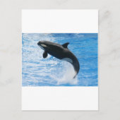 Orca Killer Whale Postkarte (Vorderseite)