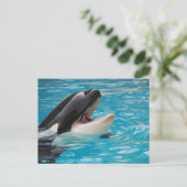 Orca, Killer Whale Postkarte (Stehend Vorderseite)