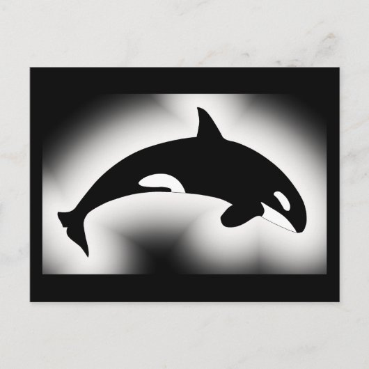 Orca Killer Whale Schwarz-weiß Postkarte (Vorderseite)