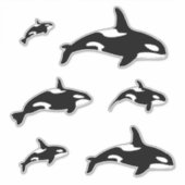 Orca Killer Whale Set Aufkleber (Vorderseite)