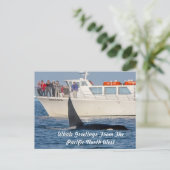Orca Killer Whale - transient, washington Postkarte (Stehend Vorderseite)