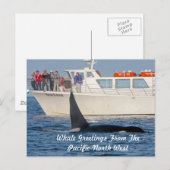 Orca Killer Whale - transient, washington Postkarte (Vorne/Hinten)