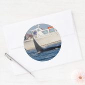 Orca Killer Whale - transient, washington Runder Aufkleber (Umschlag)