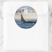 Orca Killer Whale - transient, washington Runder Aufkleber (Tasche)