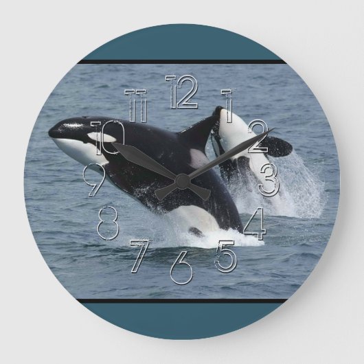Orca Killer Whales Breaching Große Wanduhr (Vorderseite)
