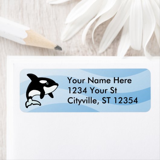 Orca/Killerwal (Insitu)