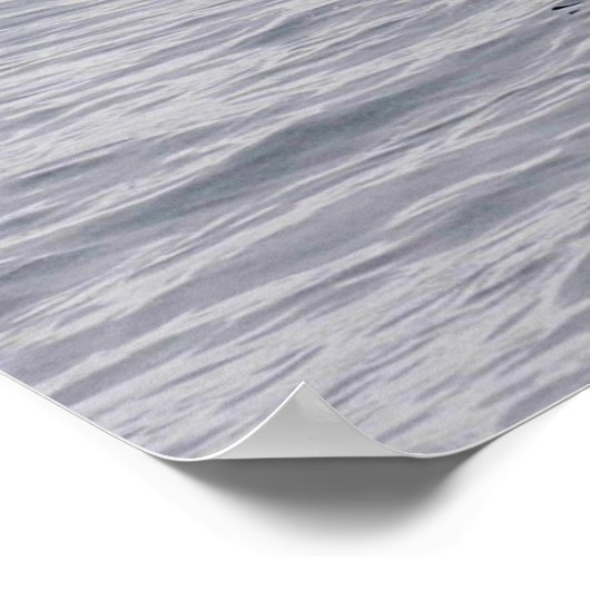 Orca, Killerwal, Brechen Poster (Ecke)