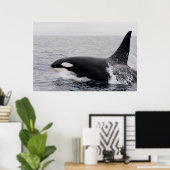 Orca, Killerwal, Brechen Poster (Heimbüro)