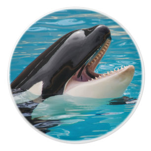 Orca, Killerwal Keramikknauf