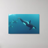 Orca-Leinwand "Killer Whale" Leinwanddruck (Vorderseite)