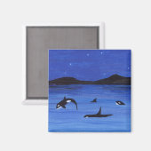 Orca Magnet (Vorderseite/Rückseite)