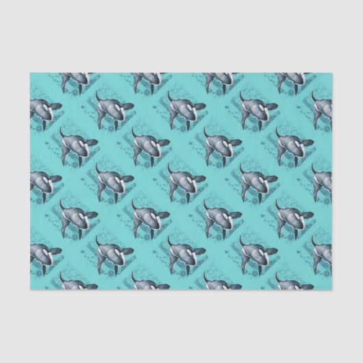Orca Map Aquamarin Seidenpapier (Vorderseite)