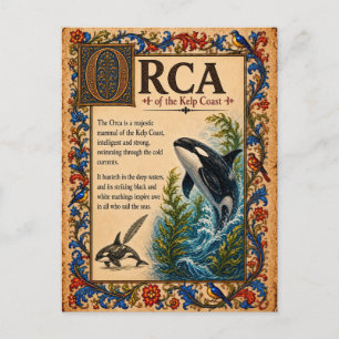 Orca, mittelalterliche Bestiarien-Kunst Postkarte