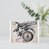 Orca Nautical Compass Postkarte (Stehend Vorderseite)