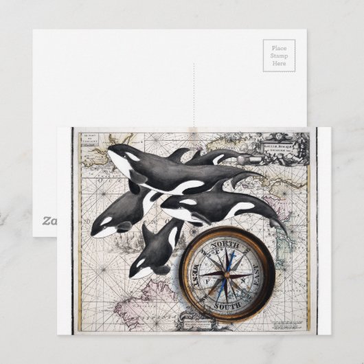 Orca Nautical Compass Postkarte (Vorne/Hinten)
