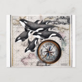 Orca Nautical Compass Postkarte (Vorderseite)