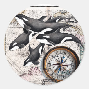 Orca Nautical Compass Runder Aufkleber