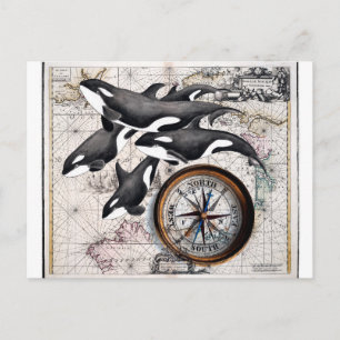 Orca-Nautikkompass Postkarte