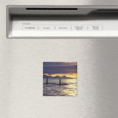 Orca oder Killerwale Magnet (In Situ (Geschirrspüler))