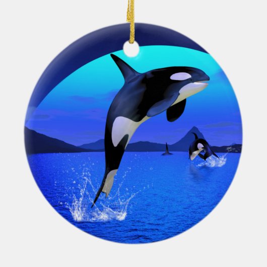 Orca Ornament (Hinten)