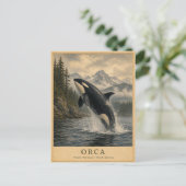 Orca Pacific Northwest VINTAGE Postkarte (Stehend Vorderseite)