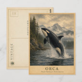 Orca Pacific Northwest VINTAGE Postkarte (Vorne/Hinten)