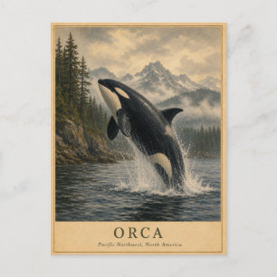 Orca Pacific Northwest VINTAGE Postkarte