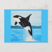 Orca Painting Postkarte (Vorderseite)