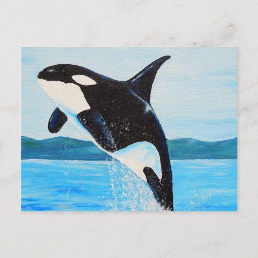 Orca Painting Postkarte (Vorderseite)