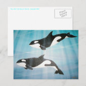 Orca Pair Postkarte (Vorne/Hinten)