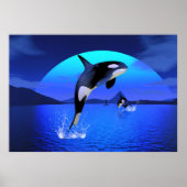 Orca Poster (Vorne)