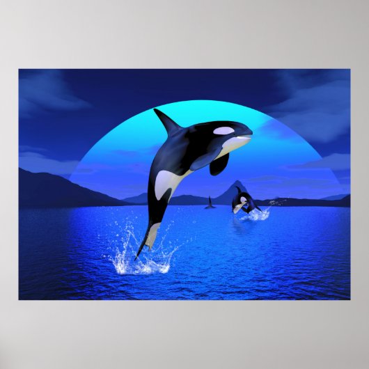 Orca Poster (Vorne)