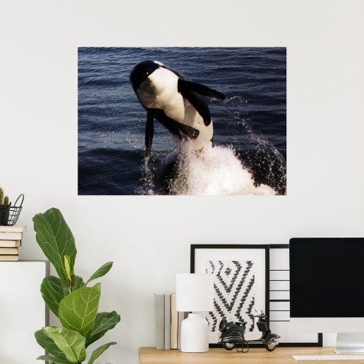 Orca Poster (Heimbüro)