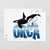 Orca Postkarte (Vorne/Hinten)