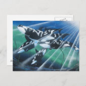 Orca Postkarte (Vorne/Hinten)
