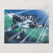 Orca Postkarte (Vorderseite)