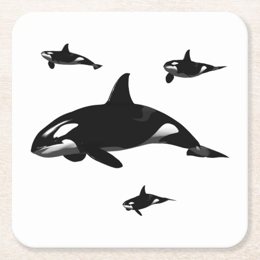 Orca Rechteckiger Pappuntersetzer (Vorderseite)