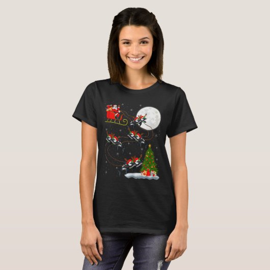 Orca Santa Sleigh Flying Funny Magical Christmas T T-Shirt (Vorne ganz)